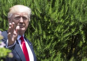 Donald Trump "vuole uscire dall'accordo di Parigi sul clima", scrivono media Usa